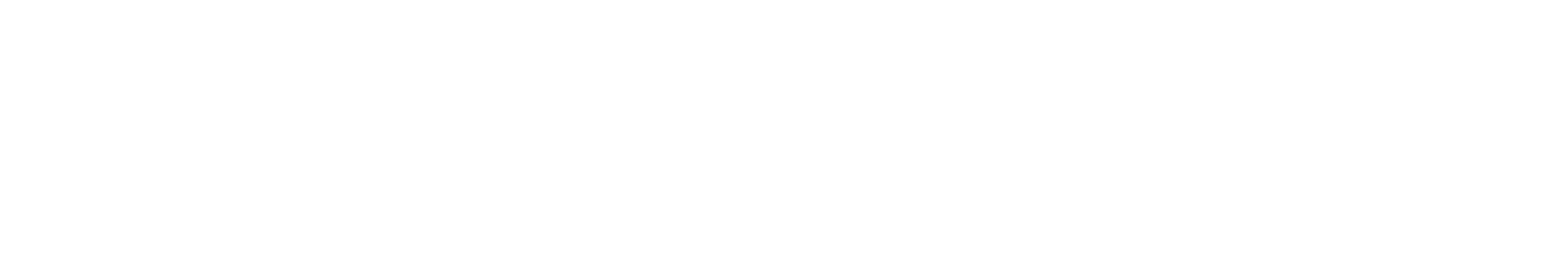 anaanse-logo